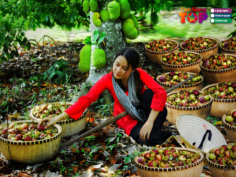 Dia-diem-check-in-sieu-hot-giua-long-tien-giang-tiengiangtoplist