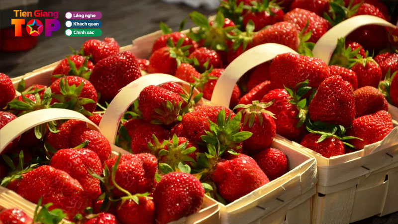 Top-5-shop-ban-dau-tay-tien-giang-ngon-va-chat-luong-tiengiangtoplist