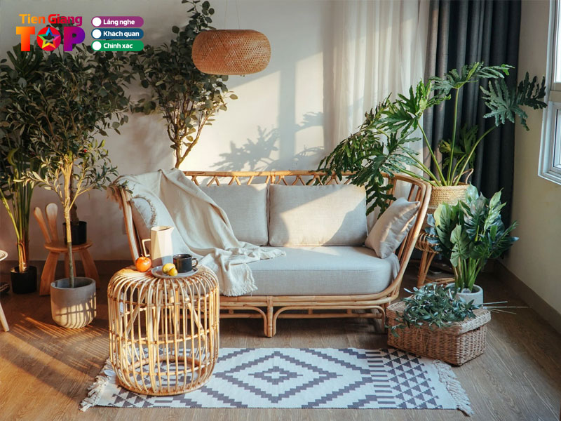 Mot-so-luu-y-khi-mua-do-may-tre-dan-tiengiangtoplist