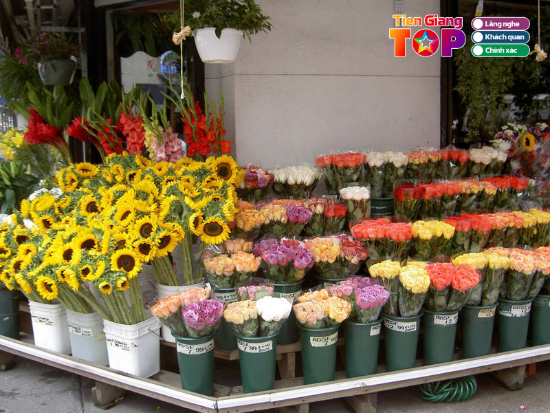 Hoa-tuoi-phu-dung-tiengiangtoplist